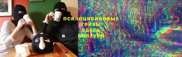 a pvp Коряжма